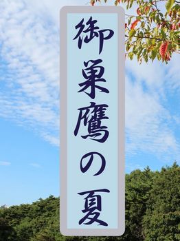 Osutaka-no-Natsu-hyoshi_iBooks_IMG_2425.jpg